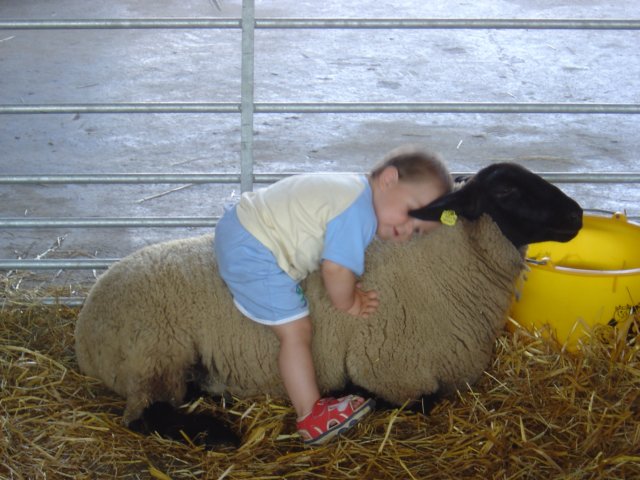 farma6.jpg