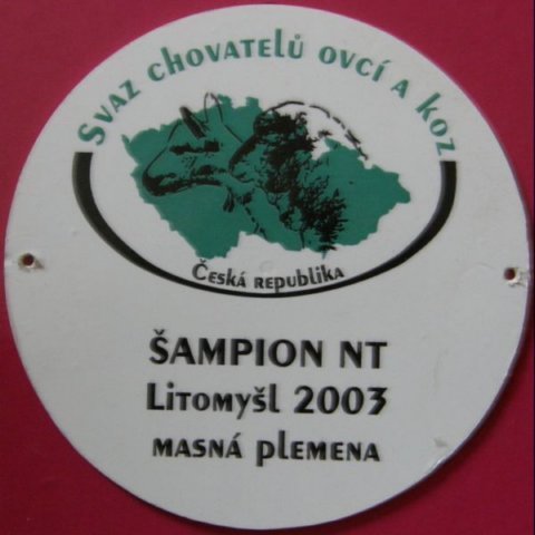 oceneni14.jpg