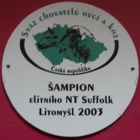 oceneni15.jpg