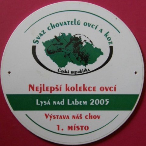 oceneni19.jpg