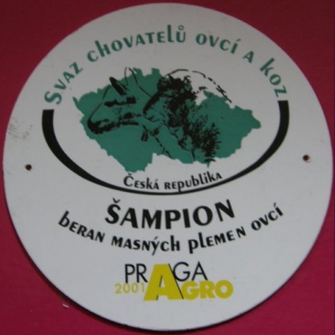 oceneni5.jpg