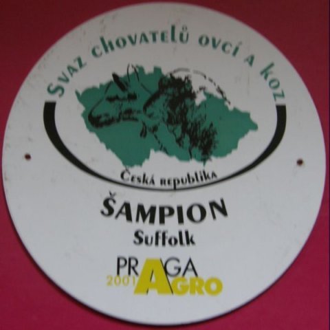 oceneni7.jpg